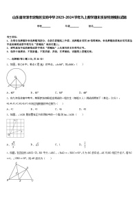 山东省菏泽市定陶区实验中学2023-2024学年九上数学期末质量检测模拟试题含答案