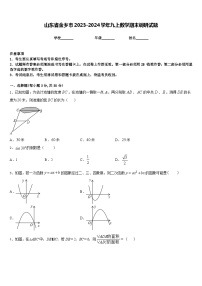 山东省金乡市2023-2024学年九上数学期末调研试题含答案