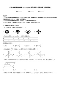 山东省聊城冠县联考2023-2024学年数学九上期末复习检测试题含答案