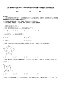 山东省聊城市冠县2023-2024学年数学九年级第一学期期末达标检测试题含答案