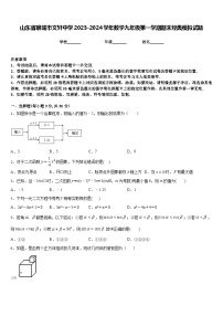 山东省聊城市文轩中学2023-2024学年数学九年级第一学期期末经典模拟试题含答案