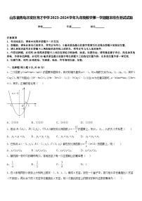 山东省青岛开发区育才中学2023-2024学年九年级数学第一学期期末综合测试试题含答案