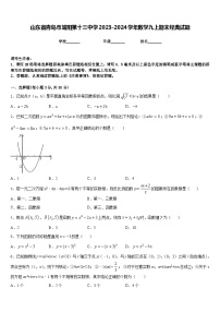 山东省青岛市城阳第十三中学2023-2024学年数学九上期末经典试题含答案