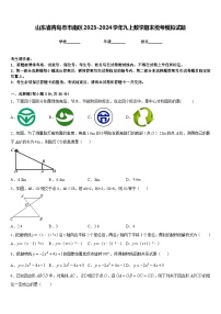 山东省青岛市市南区2023-2024学年九上数学期末统考模拟试题含答案