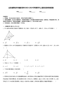 山东省青岛市市南区统考2023-2024学年数学九上期末达标检测试题含答案