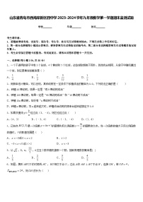 山东省青岛市西海岸新区四中学2023-2024学年九年级数学第一学期期末监测试题含答案