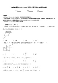 山东省滕州市2023-2024学年九上数学期末考试模拟试题含答案