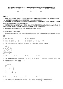 山东省潍坊市高密市2023-2024学年数学九年级第一学期期末联考试题含答案