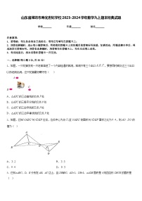 山东省潍坊市寿光世纪学校2023-2024学年数学九上期末经典试题含答案