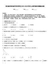 四川省泸州市高中学阶段学校2023-2024学年九上数学期末经典模拟试题含答案