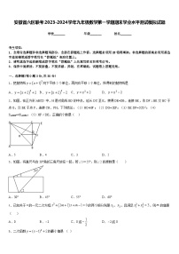 安徽省六区联考2023-2024学年九年级数学第一学期期末学业水平测试模拟试题含答案