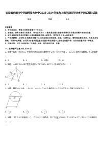 安徽省合肥市中学国科技大附中2023-2024学年九上数学期末学业水平测试模拟试题含答案