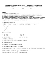 山东省东营市胜利中学2023-2024学年九上数学期末学业水平测试模拟试题含答案