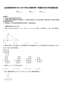 山东省滨州市联考2023-2024学年九年级数学第一学期期末学业水平测试模拟试题含答案