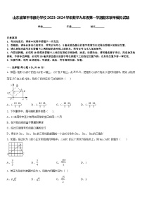 山东省邹平市部分学校2023-2024学年数学九年级第一学期期末联考模拟试题含答案