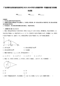 广东深圳市龙华区锦华实验学校2023-2024学年九年级数学第一学期期末复习检测模拟试题含答案