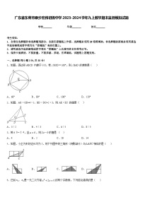 广东省东莞市寮步宏伟初级中学2023-2024学年九上数学期末监测模拟试题含答案