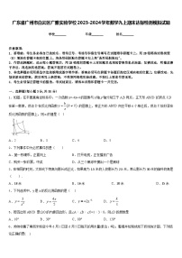 广东省广州市白云区广雅实验学校2023-2024学年数学九上期末达标检测模拟试题含答案