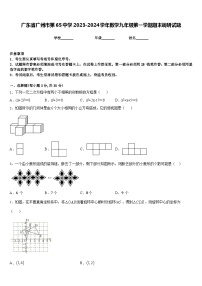 广东省广州市第65中学2023-2024学年数学九年级第一学期期末调研试题含答案