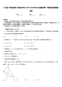 广东省广州市荔湾区广雅实验学校2023-2024学年九年级数学第一学期期末调研模拟试题含答案