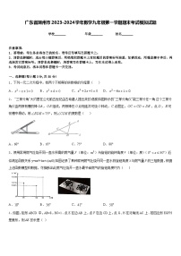广东省潮州市2023-2024学年数学九年级第一学期期末考试模拟试题含答案