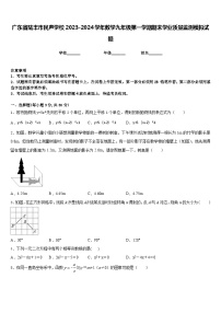 广东省陆丰市民声学校2023-2024学年数学九年级第一学期期末学业质量监测模拟试题含答案