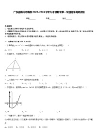 广东省梅州市梅县2023-2024学年九年级数学第一学期期末调研试题含答案