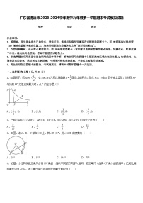 广东省清远市2023-2024学年数学九年级第一学期期末考试模拟试题含答案