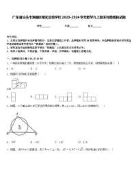 广东省汕头市潮南区阳光实验学校2023-2024学年数学九上期末经典模拟试题含答案