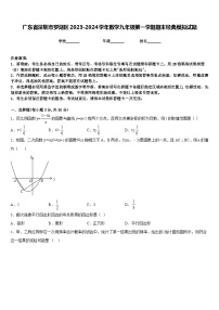 广东省深圳市罗湖区2023-2024学年数学九年级第一学期期末经典模拟试题含答案