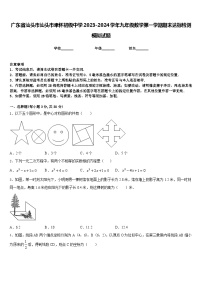 广东省汕头市汕头市聿怀初级中学2023-2024学年九年级数学第一学期期末达标检测模拟试题含答案