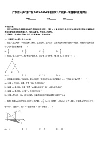 广东省汕头市濠江区2023-2024学年数学九年级第一学期期末监测试题含答案