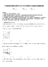 广东省深圳市光明区公明中学2023-2024学年数学九上期末复习检测模拟试题含答案