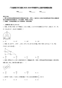 广东省阳江市江城区2023-2024学年数学九上期末检测模拟试题含答案