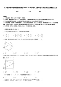 广东省深圳市龙岗区德琳学校2023-2024学年九上数学期末质量跟踪监视模拟试题含答案