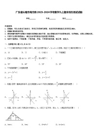 广东省汕尾市海丰县2023-2024学年数学九上期末综合测试试题含答案