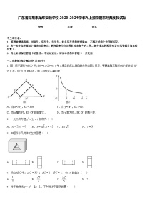 广东省深圳市龙华实验学校2023-2024学年九上数学期末经典模拟试题含答案