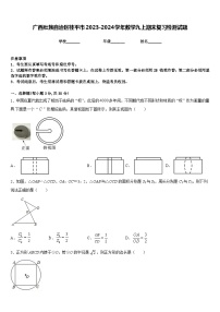 广西壮族自治区桂平市2023-2024学年数学九上期末复习检测试题含答案