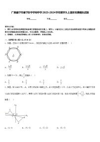 广西南宁市邕宁区中学和中学2023-2024学年数学九上期末经典模拟试题含答案