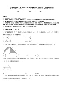 广东省珠海市斗门区2023-2024学年数学九上期末复习检测模拟试题含答案