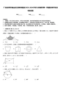 广东省深圳市南山区实验教育集团2023-2024学年九年级数学第一学期期末教学质量检测试题含答案