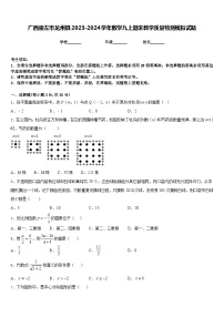 广西崇左市龙州县2023-2024学年数学九上期末教学质量检测模拟试题含答案