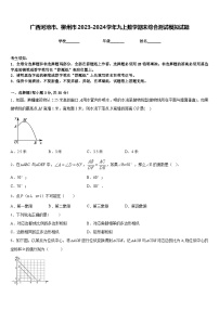 广西河池市、柳州市2023-2024学年九上数学期末综合测试模拟试题含答案