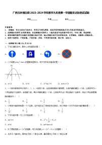 广西玉林博白县2023-2024学年数学九年级第一学期期末达标测试试题含答案