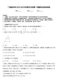 广西省河池市2023-2024学年数学九年级第一学期期末达标检测试题含答案