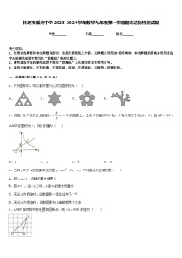 林芝市重点中学2023-2024学年数学九年级第一学期期末达标检测试题含答案