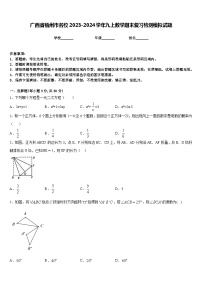 广西省梧州市名校2023-2024学年九上数学期末复习检测模拟试题含答案