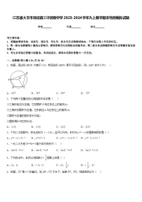 江苏省大丰市刘庄镇三圩初级中学2023-2024学年九上数学期末检测模拟试题含答案