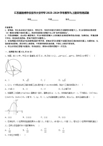 江苏省扬州市仪征市大仪中学2023-2024学年数学九上期末检测试题含答案