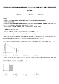 江苏省淮安市淮阴师院附中（田家炳中学2023-2024学年数学九年级第一学期期末综合测试试题含答案